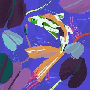 Meet your Posher, Meredith